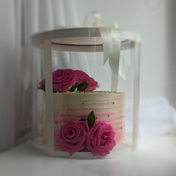 Тубус D250 H250 белый с картонной крышкой