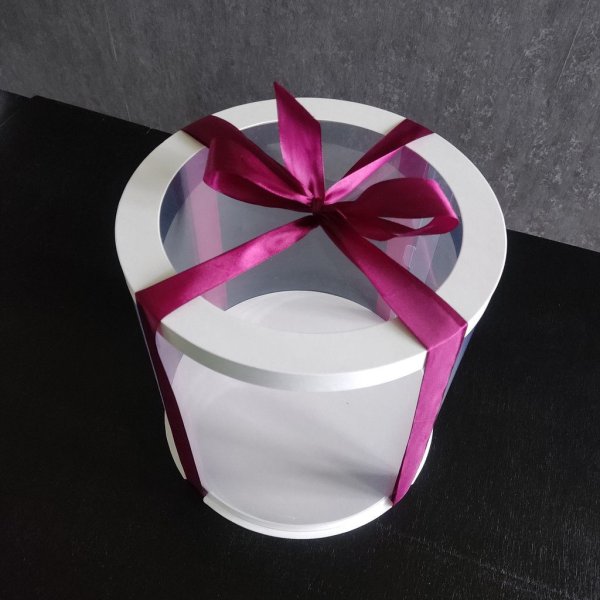 Набір тубусів D250 h200 білі з прозорою кришкою