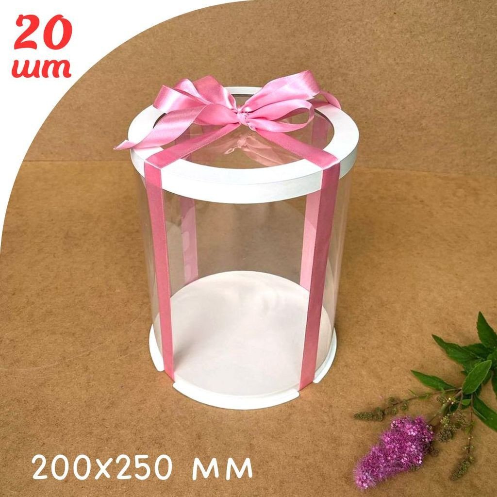 Набор тубусов d200 h250 с прозрачной крышкой