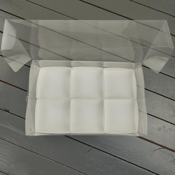 Коробка PET 260×170×110 с вкладкой на 6 разделов