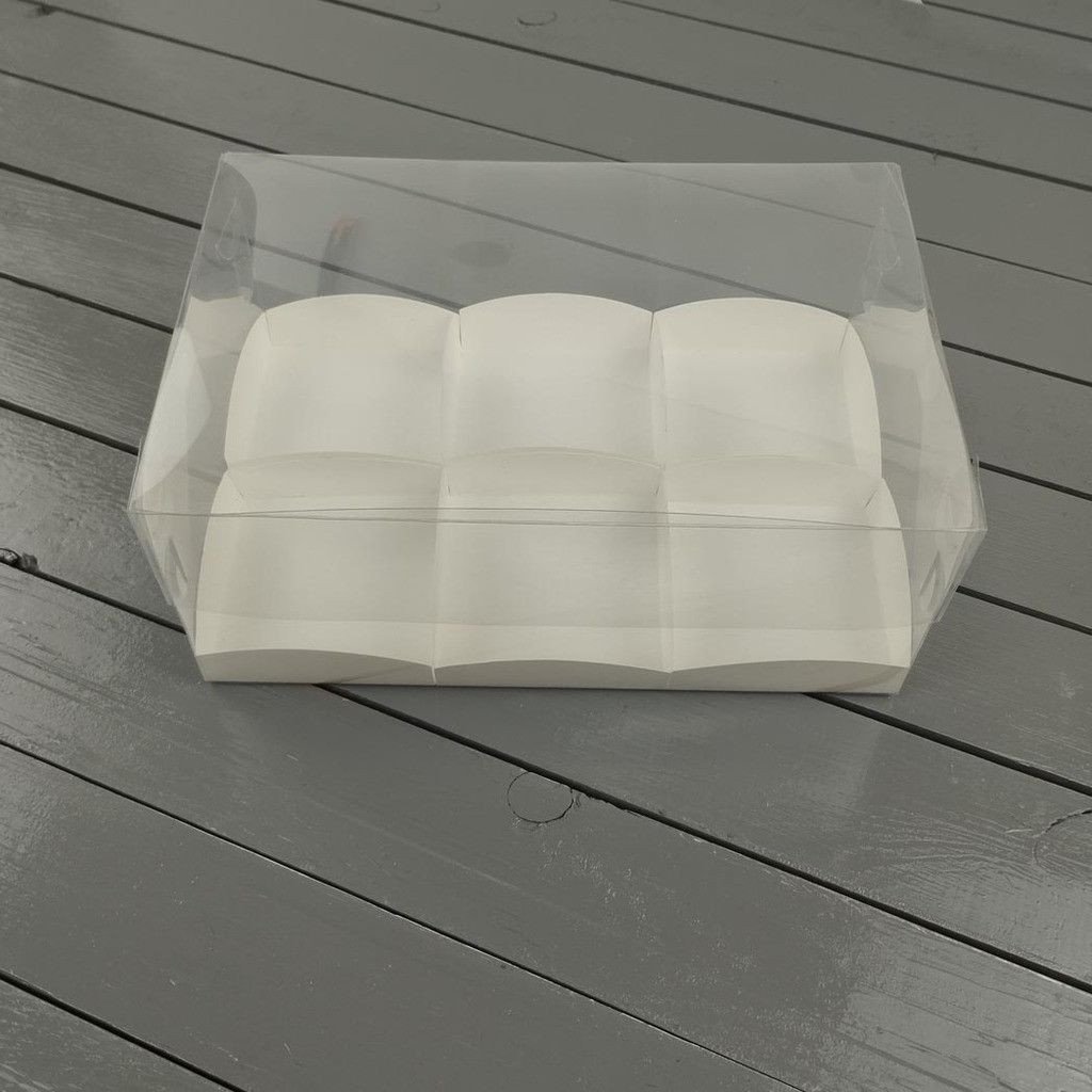 Коробка PET 260×170×110 с вкладкой на 6 разделов