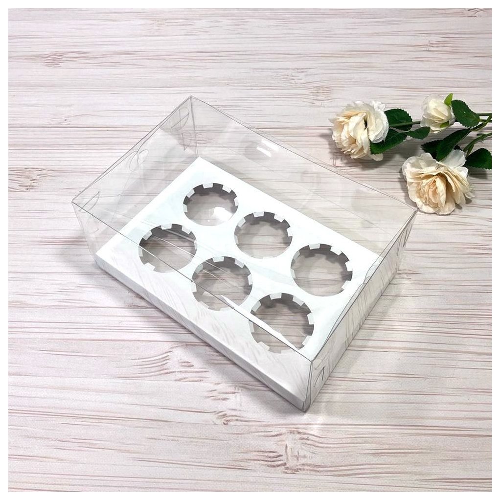 Коробка PET 260×170×110 с вкладкой на 6 ячеек