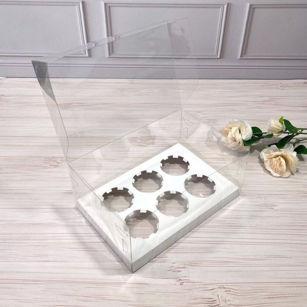 Коробка PET 260×170×110 з вкладкою на 6 комірок