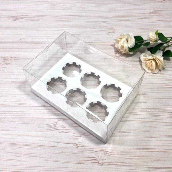 Коробка PET 260×170×80 з вкладкою на 6 комірок