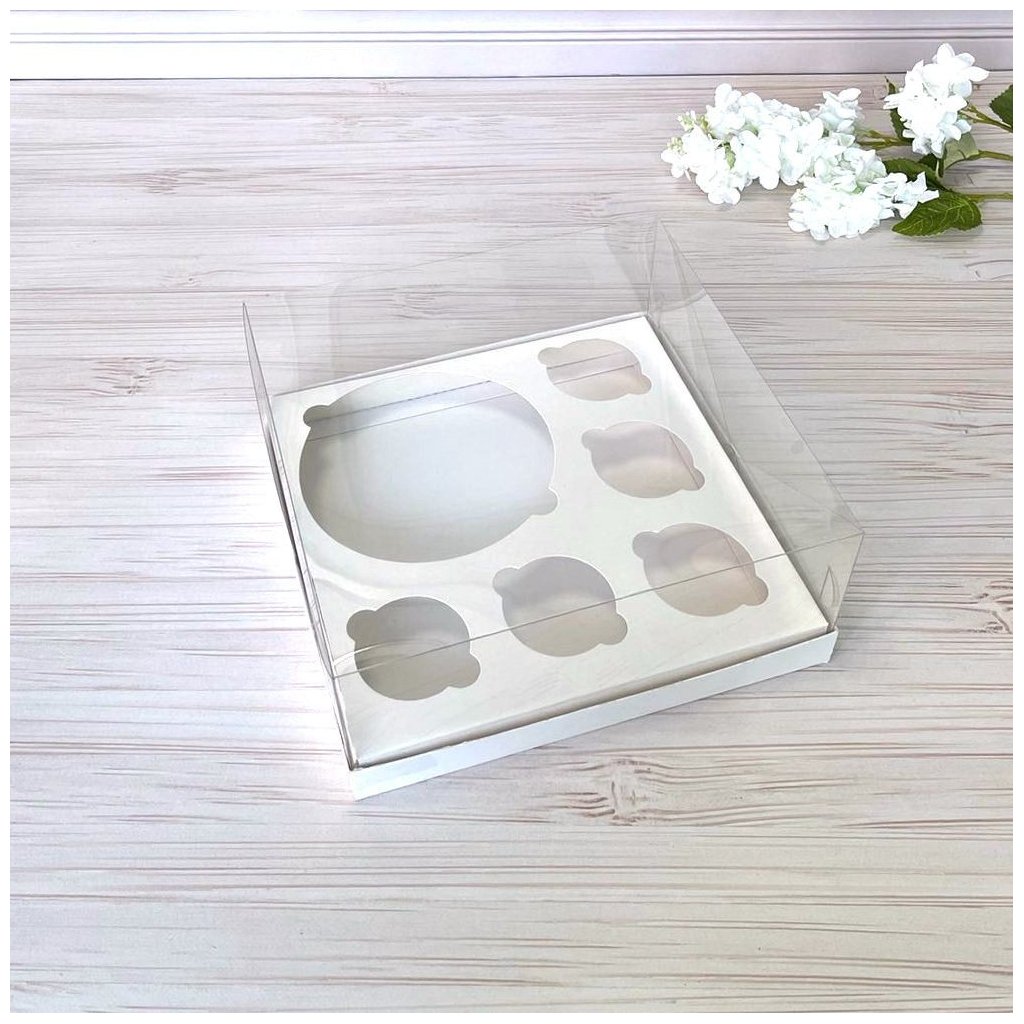 Коробка PET 255×255×110 з вкладкою 6 комірок