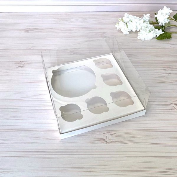 Коробка PET 255×255×110 с вкладкой 6 ячеек