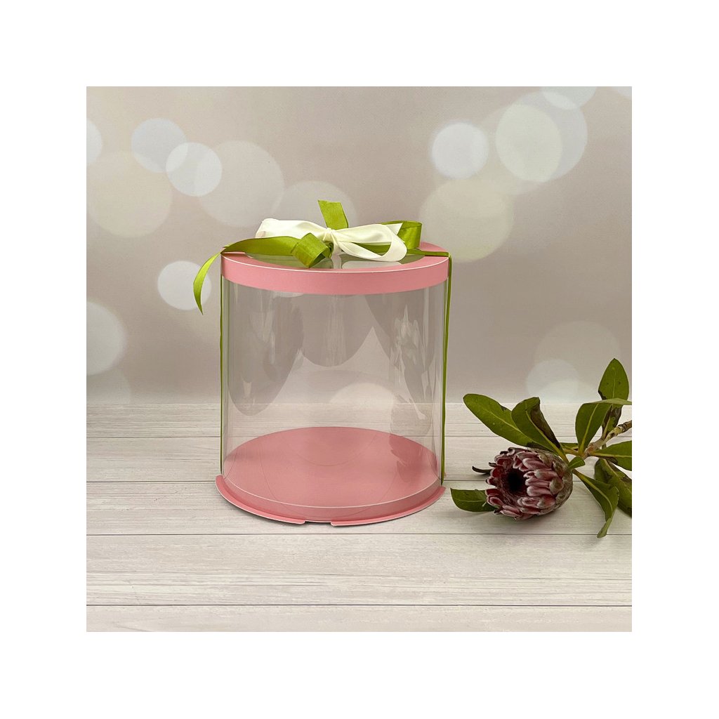 Тубус D200 H250 PINK с прозрачной крышкой