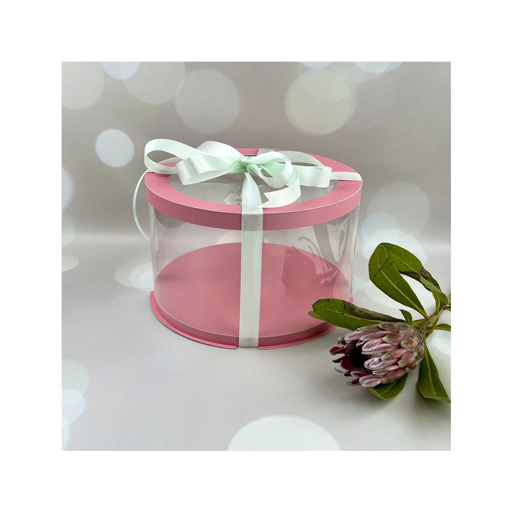 Тубус D250 H200 PINK с прозрачной крышкой