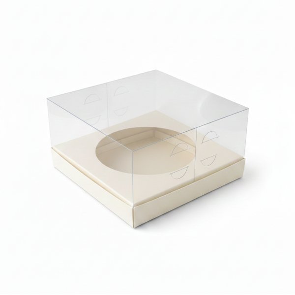 Коробка PET 180×180×100 с вкладкой D130