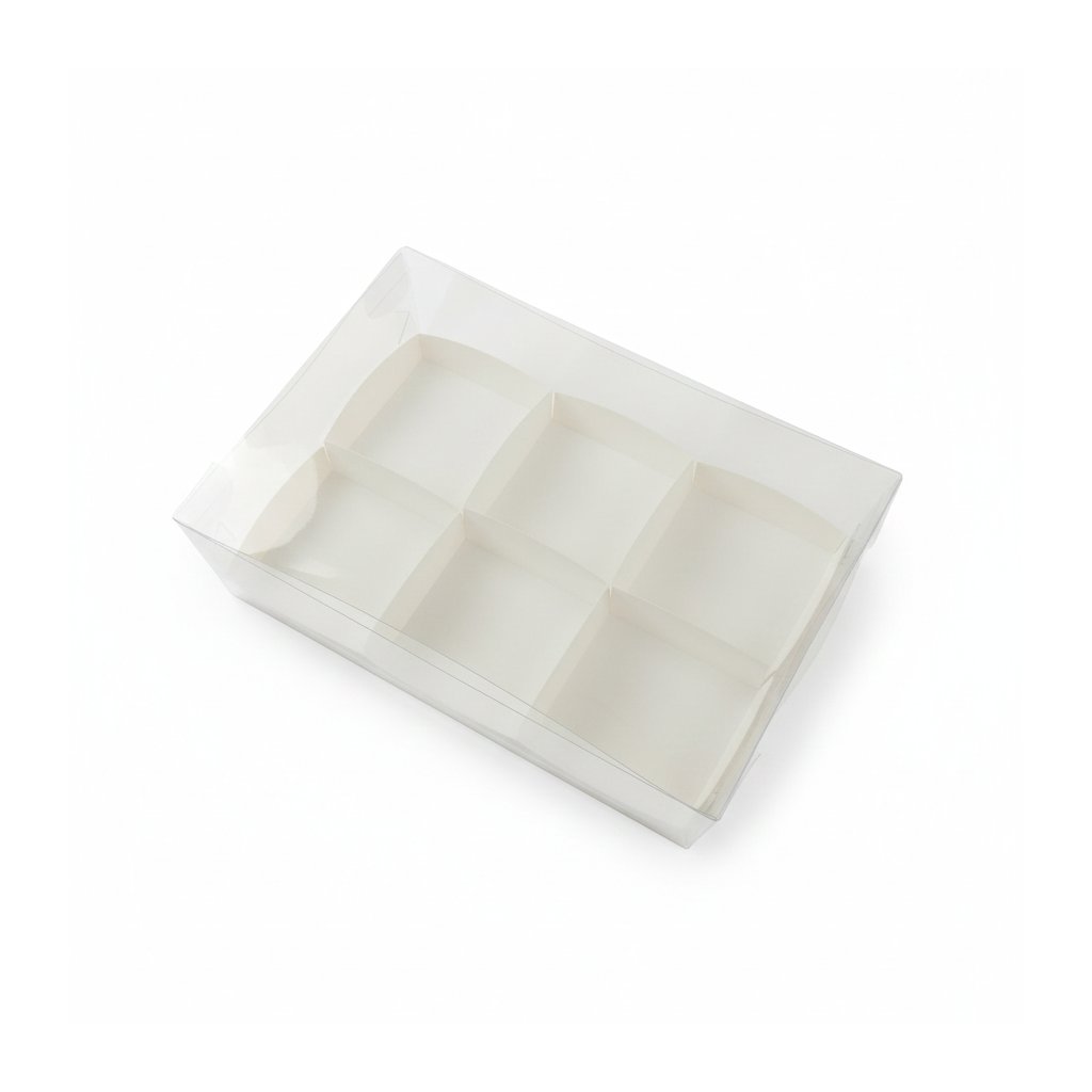 Коробка PET 260×170×110 с вкладкой на 6 ячеек