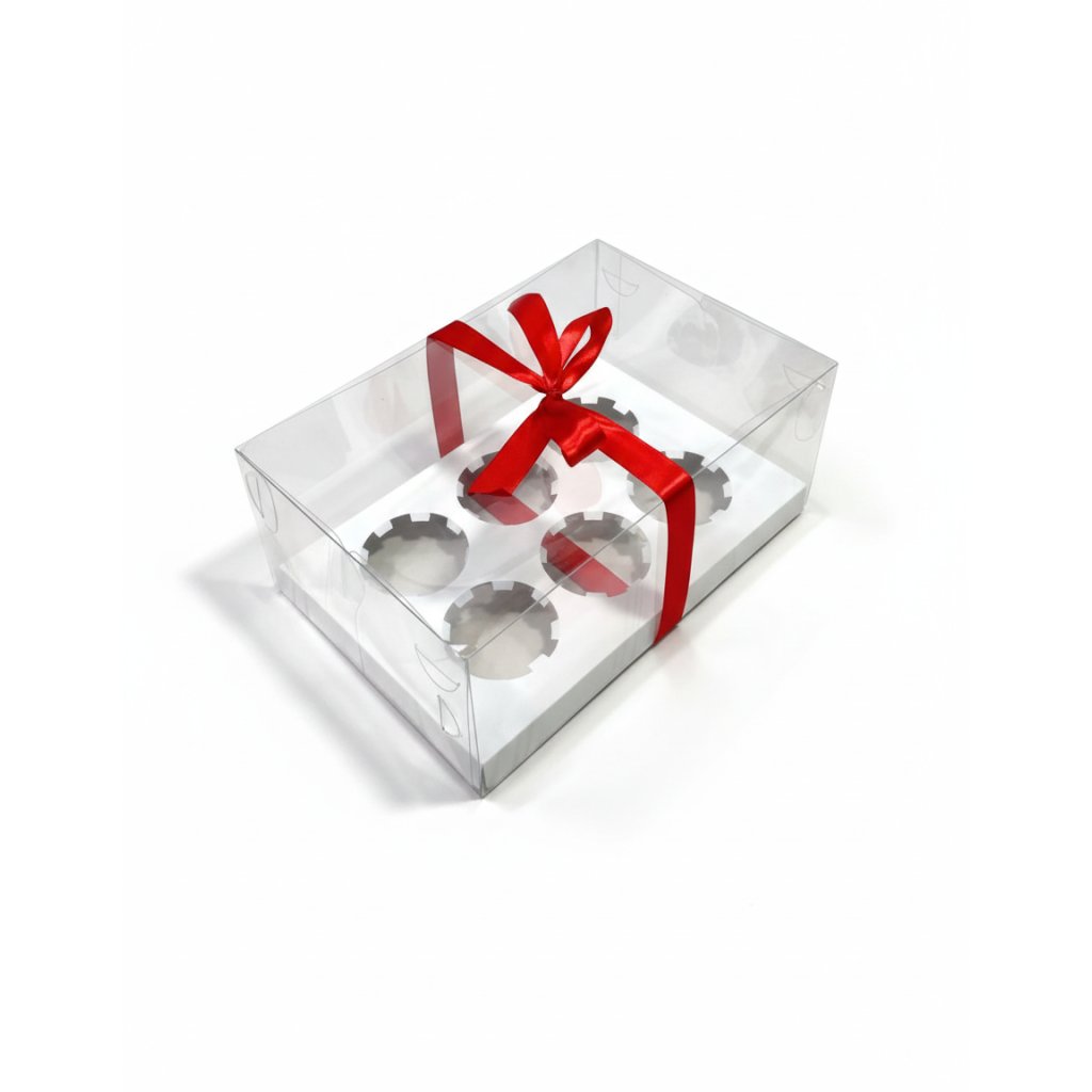 Коробка PET 260×170×110 с вкладкой на 6 ячеек